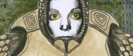 HTBADesertTortoise detail 1